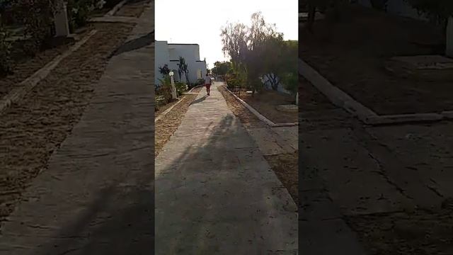 тунис зарзис отель гиктис zarzis Giktis проход на пляж смотреть онлайн
