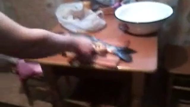 Движение вверх Говорящая голова смотреть онлайн