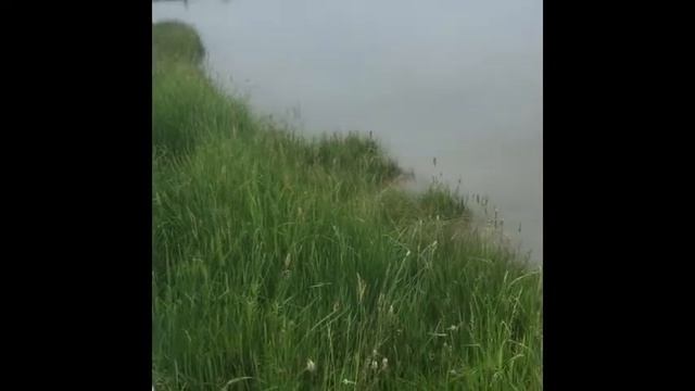 Первая настоящая рыбалка 30.06.2021 Озера Хакасии. смотреть онлайн