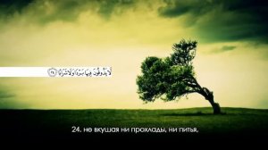 Ахмад Анчихский - Сура «ан-Наба»