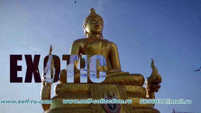 Дефиле в купальниках,Модные показы. www.self-ru.com смотреть онлайн