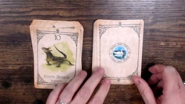 Animal Spirit Oracle Deck Introduction Reveal смотреть онлайн