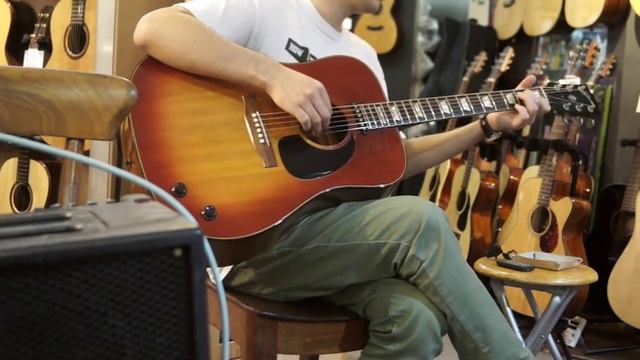 GIBSON J-160E 1973〜75 смотреть онлайн