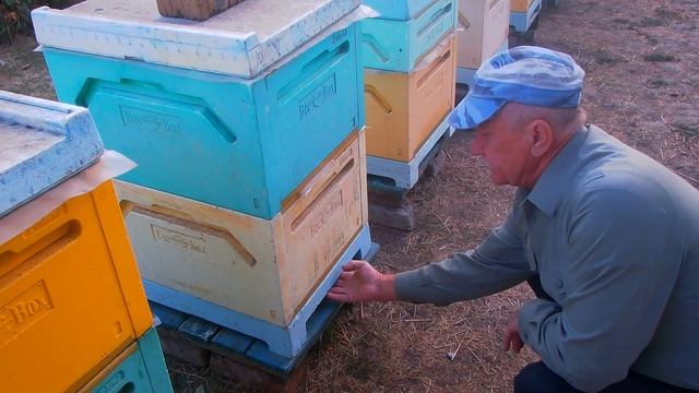 Подкормка, Термическая обработка " ПОЛИСАН" от клеща ..... 2020г. любительское пчеловодство смотреть онлайн