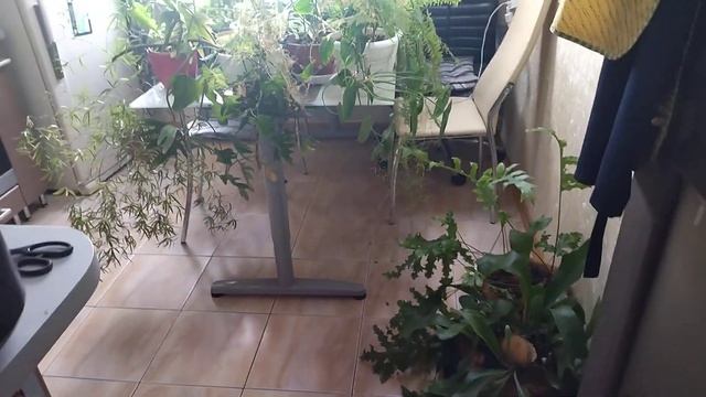 Полный раскардаш во спасение растений. смотреть онлайн