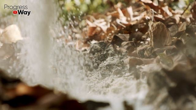 Перед посадкой озимого чеснока всегда добавляю это удобрение!