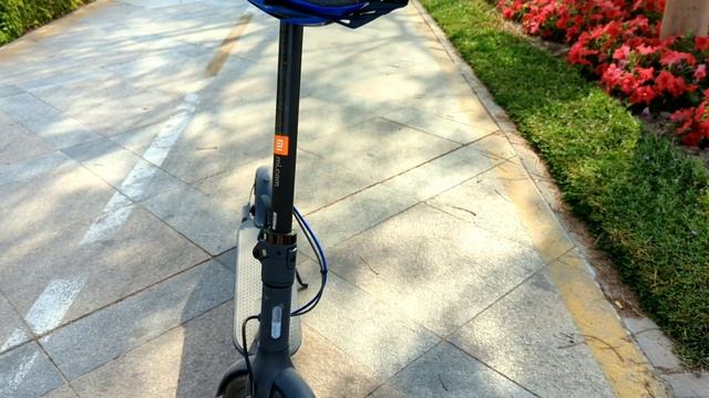 Google Pixel 6 Pro Camera Review Malayalam | Photo & Video Test | Akbar Shabeer смотреть онлайн