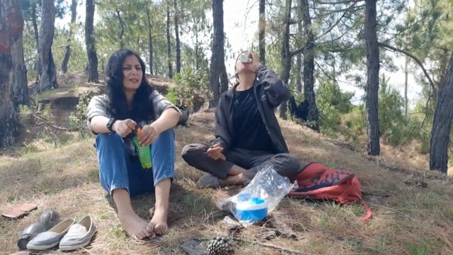 Among the delights of summer were picnics to the woods.🙂#ukf #asmr #asmrnaturerelaxation #nature смотреть онлайн