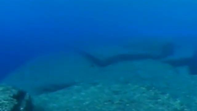 これは遺跡でしょうか？沖縄海底遺跡「亀の石」 смотреть онлайн