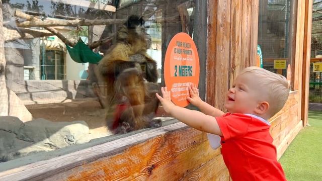 Diana and Roma Travel - Video compilation about fun family trips смотреть онлайн