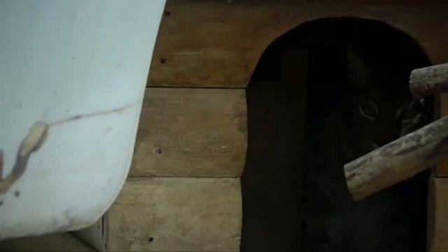 Прогулки по Зоосаду, часть VIII смотреть онлайн