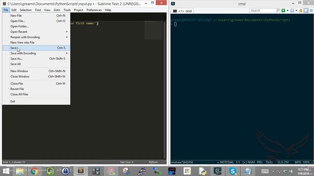 Python Course - Input Parameters смотреть онлайн