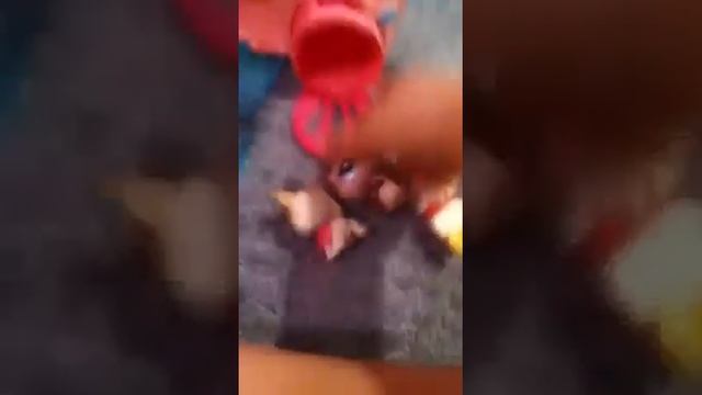 Littlest Pet Shop Adoption Center- Part 2 смотреть онлайн