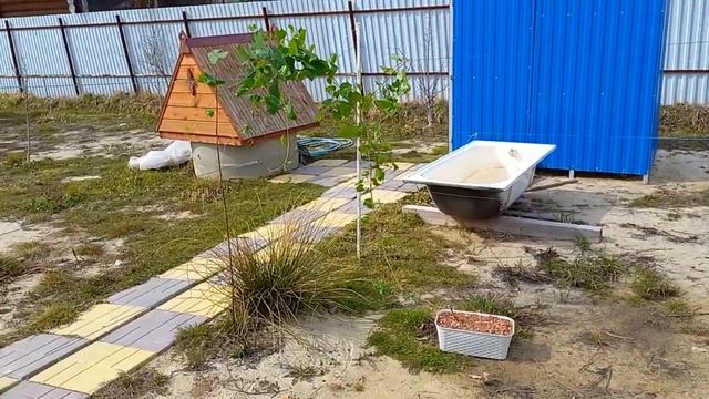 виноград на балконе, финал ! смотреть онлайн