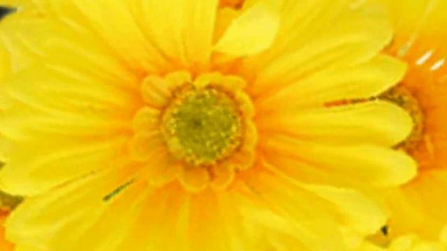 Пусть удачу принесёт тебе каждое мгновение! Желаю получать от жизни позитив! смотреть онлайн