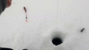 КОРЮШКА в АНДРУСОВО. ПОКЛЕВКИ в КАЖДОМ КАДРЕ. КАРЕЛИЯ