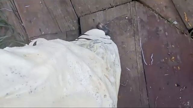 строительная пена как упаковка))) смотреть онлайн