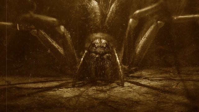 Пауки. Страшилка. Страшная история.(страшилки на ночь, страшные истории, АСМР). смотреть онлайн