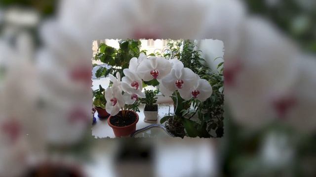 Свойства воды после варки яиц Ты удивишься когда узнаешь