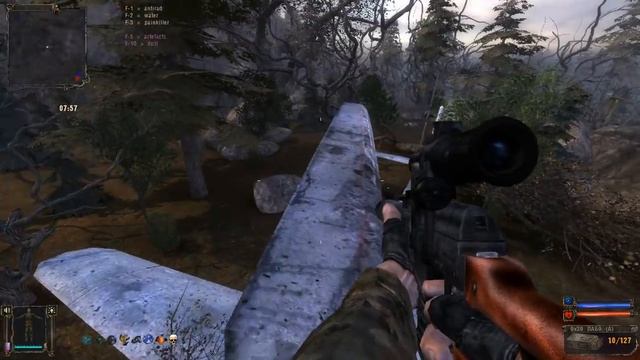 STALKER: Золотой шар. Завершение. Часть 58 - Феникс смотреть онлайн