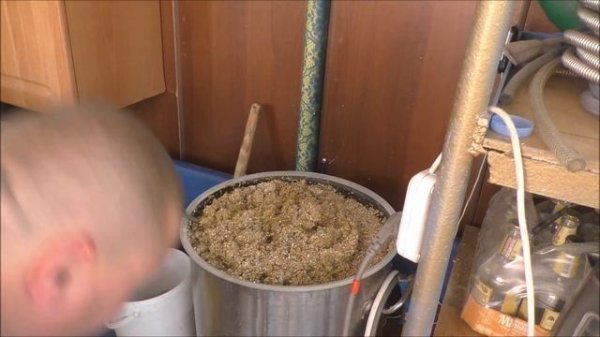 Осахариваю кукурузу солодом.