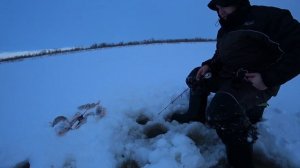 Балансир Lucky John Baltic 5 Ловля окуня зимой!