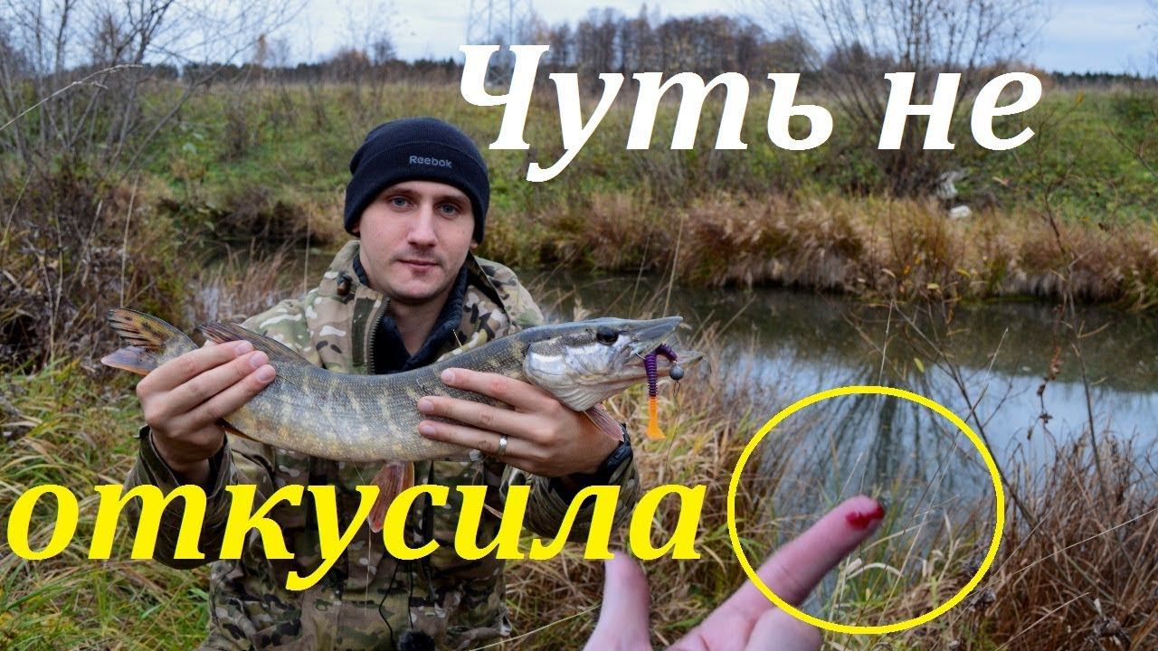 КАК ЛОВИТЬ НА МЕЛКОЙ РЕКЕ Осенью? / Щука на обычный джиг / Приманки, проводка