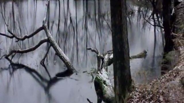 Солярис Жанна Агузарова Звезда.wmv смотреть онлайн