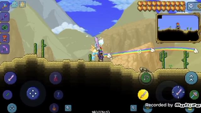 Сиды террария.