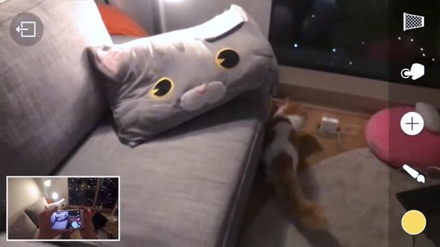 Paint the world! Best iOS AR App -- Paint Space AR смотреть онлайн