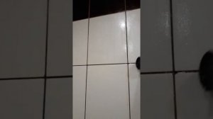 Чистка плитки пароочистителем