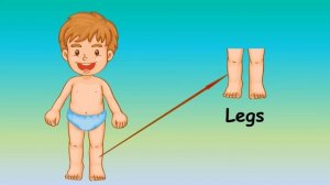 Learn Body parts - Учим части тела