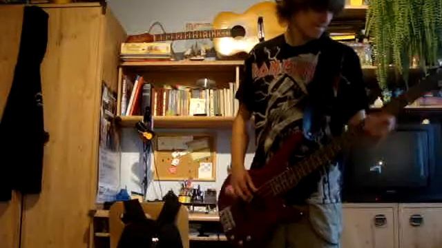 Iron Maiden - Hallowed By Thy Name Bass Cover (live Flight 666) смотреть онлайн