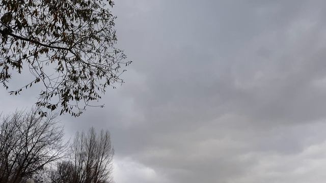 НАСТУПИЛА ЗИМА. В НЕБЕ ЛЕТАЮТ СТАИ ПТИЦ. смотреть онлайн