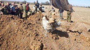 В Кировском районе нашли и подняли боевой советский самолёт времен ВОВ. Как это было.