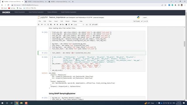 A Demonstration for INGREX: An Interactive Explanation Framework for Graph Neural Networks смотреть онлайн