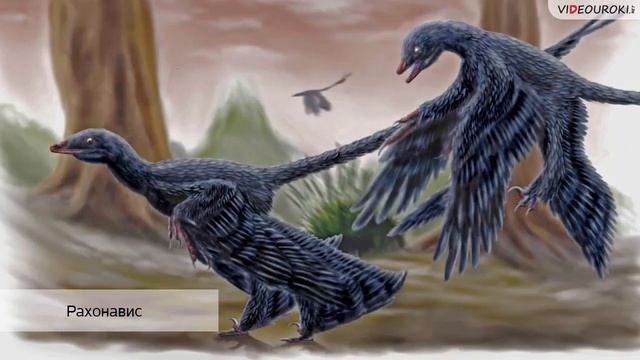 (ВУ)  Развитие жизни в мезозое и кайнозое