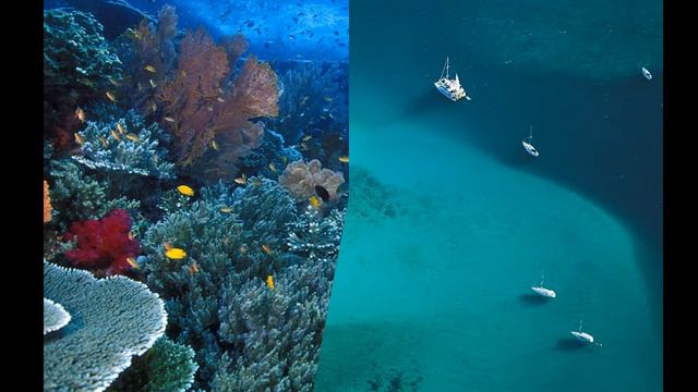 СЛАЙД-ШОУ ПРО ИЗУМИТЕЛЬНО КРАСИВЫЕ РАЙСКИЕ ОСТРОВА. ВСЕМ СМОТРЕТЬ ДО КОНЦА. ОЧЕНЬ ПРИЯТНОЕ ВИДЕО:3 смотреть онлайн