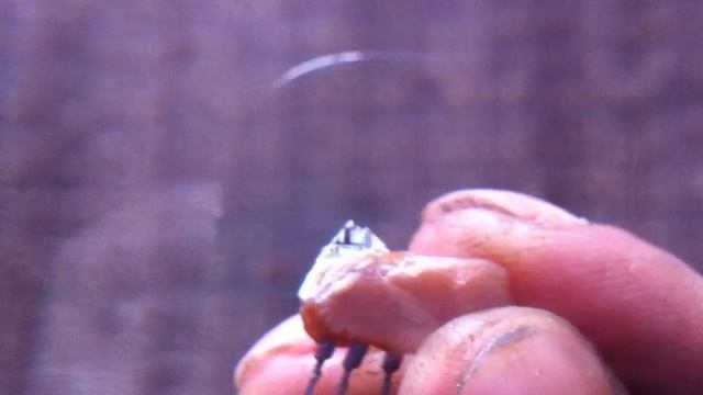 Попытка разбора микросхемы К237ХА5 с растворителем 646 для обзора смотреть онлайн