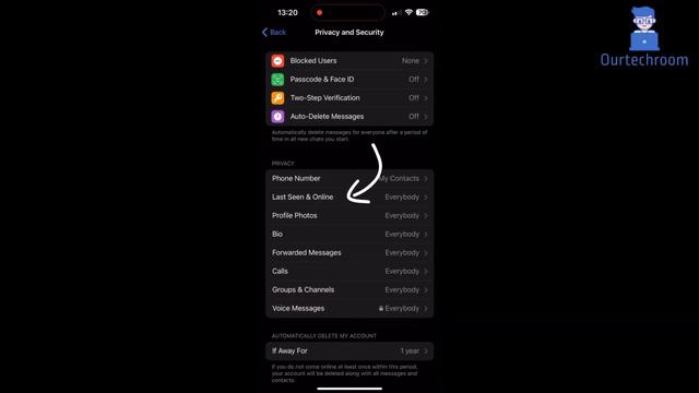 How to hide Telegram Last Seen and Online Status ( 2024 Guide )? смотреть онлайн