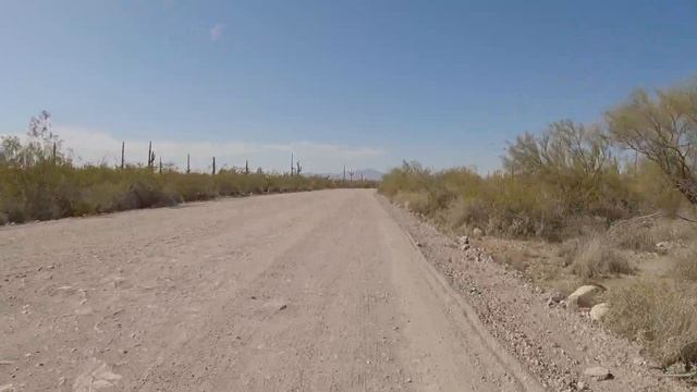 60 Minute Bike Ride - Gravel Biking Organ Pipe Cactus National Monument Arizona - No Talking 1 Hour