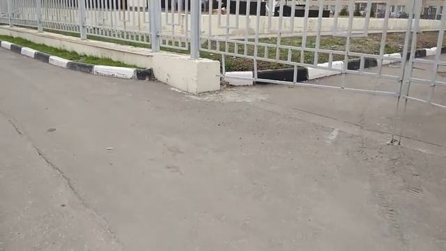 Отпугиватель собак, как работает Ястреб Ос 2 смотреть онлайн