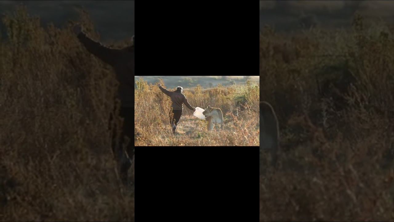 Жизнь как чудо. Life is a miracle. смотреть онлайн