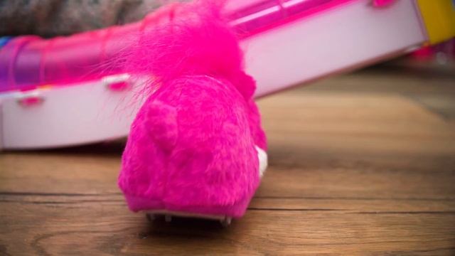 Spin Master | Zhu Zhu Pets - Search For The Zhu Zhu Pets (House #2) смотреть онлайн