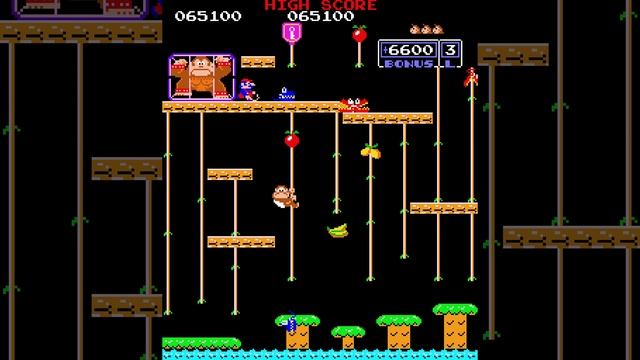 Donkey Kong Jr. (Arcade) |