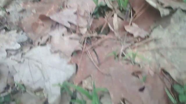 19 марта Булат Окуджава — Быстро молодость проходит смотреть онлайн