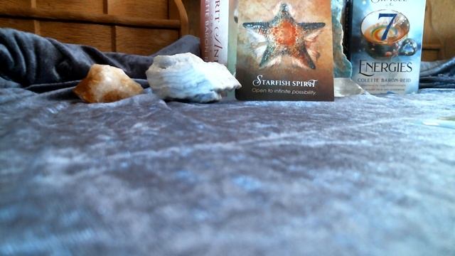 Spirit Message Daily Guidance ♥ Oracle Cards - New Beginnings смотреть онлайн