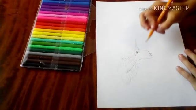 Рисуем птиц у зимородок смотреть онлайн