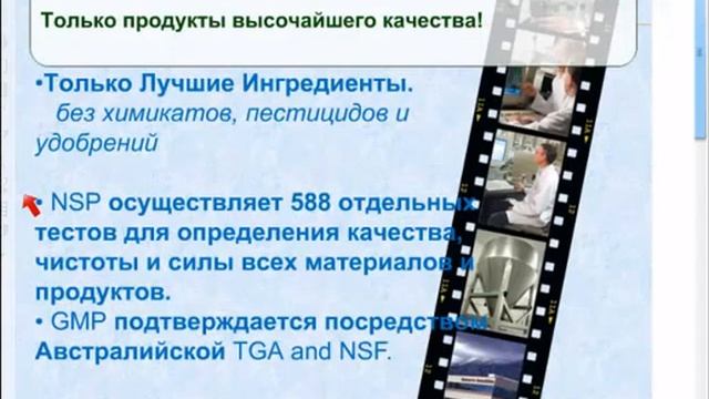 Презентация бизнеса с NSP смотреть онлайн