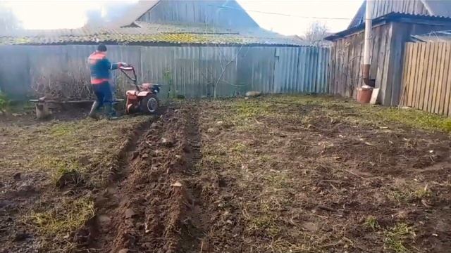 Мотокультиватор Фермер 909MSL 9лс в работе #пашем #фрезируем #мотоблок смотреть онлайн